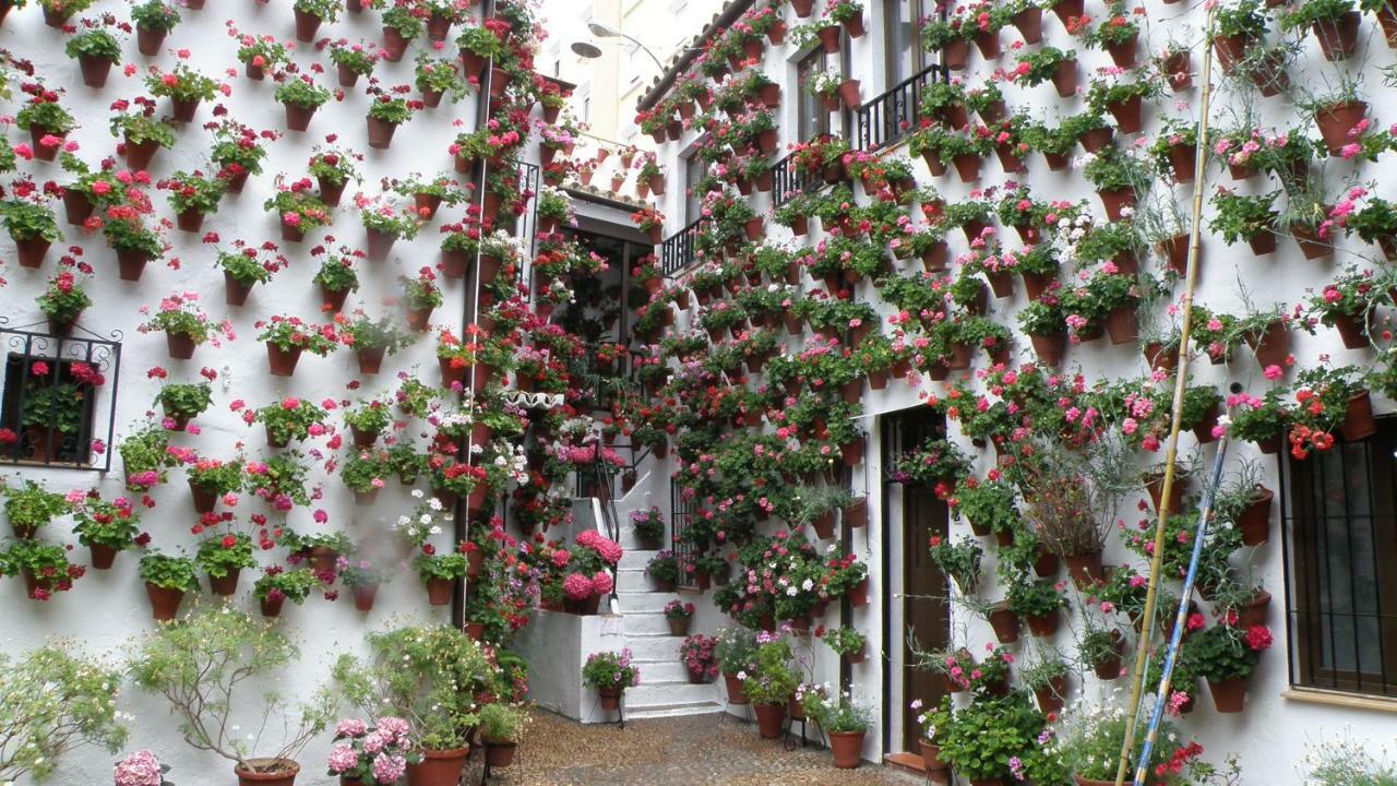 El Balcon De La Mezquita Apartman Córdoba Kültér fotó